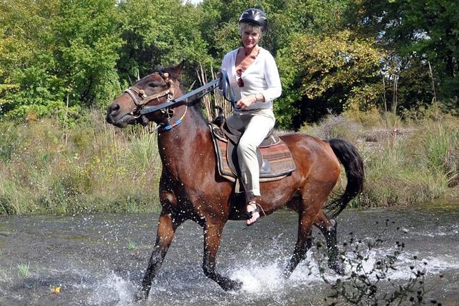 Kusadasi Horseback Riding - The Ride Through Bushes and Trees: Control, Scenery, and Group Pace