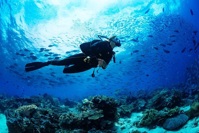 Kusadasi Scuba Diving Experience w/Instructor incl. Transfer - Equipment and Instruction: How They Set You Up for Comfort