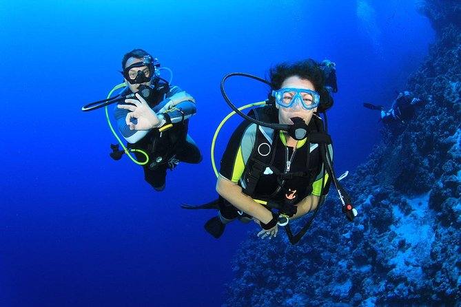 Kusadasi Scuba Diving Experience w/Instructor incl. Transfer - Practical Tips to Make Your Session Go Smooth