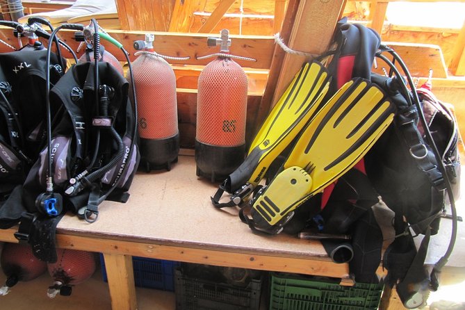 Kusadasi Scuba Diving Experience w/Instructor incl. Transfer - Your Underwater Session: Shallow Start, Fish Feeding, and Caves