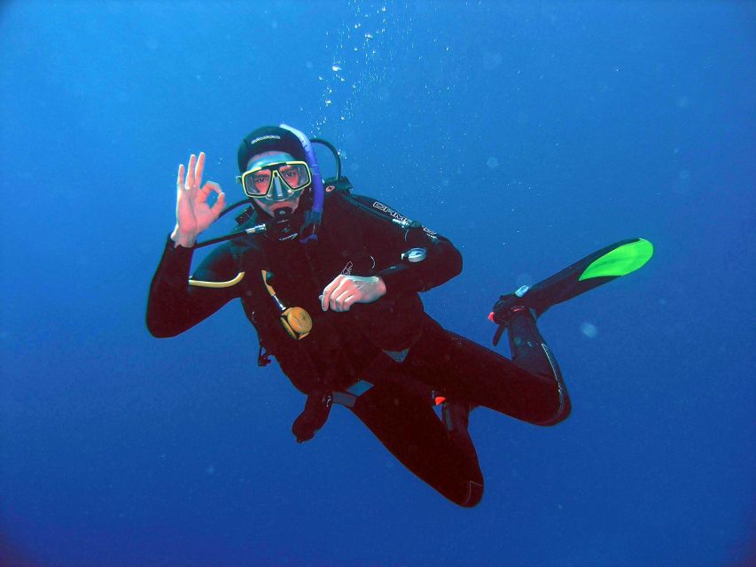Kusadasi: Scuba Diving for Beginner or Experienced w/ Lunch - Key highlights that matter