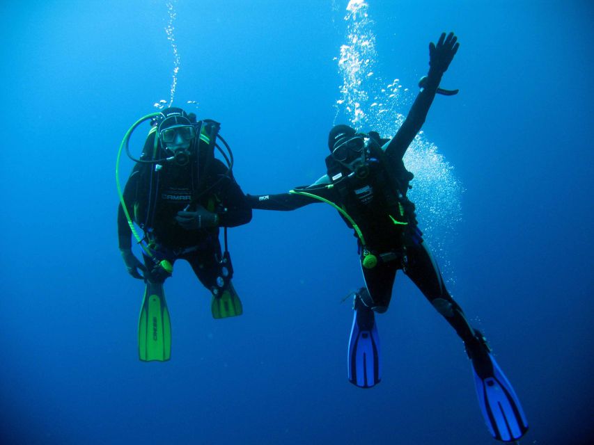 Kusadasi: Scuba Diving for Beginner or Experienced w/ Lunch - Morning pickup and a boat day that stays simple in Kusadasi