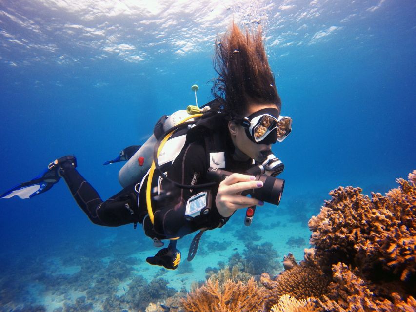 Kusadasi: Scuba Diving for Beginner or Experienced w/ Lunch - Lunch on board: included, but quality can vary