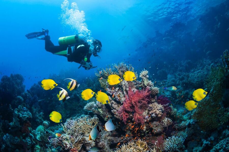 Kusadasi: Scuba Diving for Beginner or Experienced w/ Lunch - What to bring (and what not to): avoid last-minute hassles