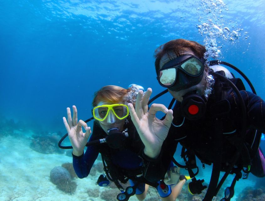 Kusadasi: Scuba Diving for Beginners w/Lunch & Transfer - Key things that make this trip worth your time