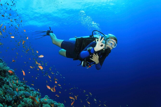 Kusadasi Scuba Diving Tour By Local Experts - Key Points You’ll Care About
