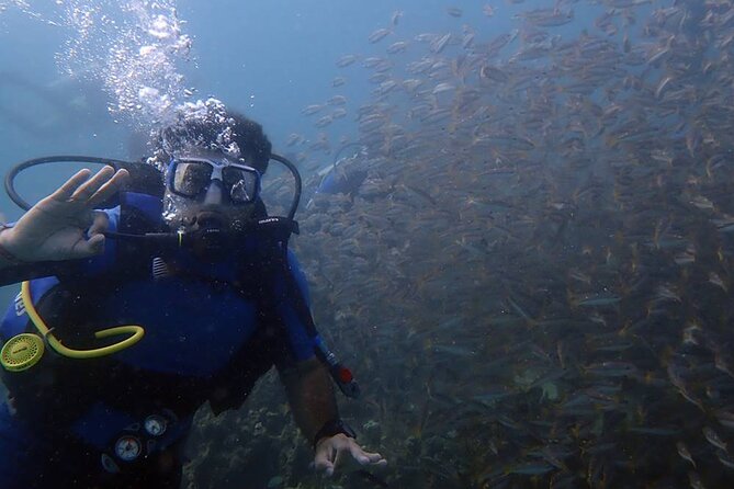 Kusadasi Scuba Diving Tour By Local Experts - A Smooth Morning Plan on the Kuşadası Waterfront