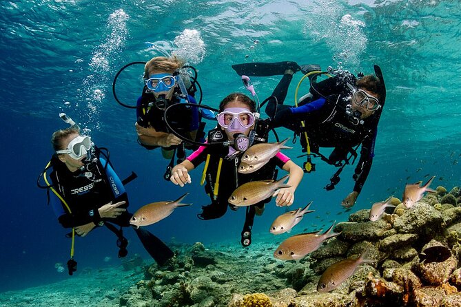 Kusadasi Scuba Diving Tour By Local Experts - The Underwater Spot and Your Almost 25 Minutes