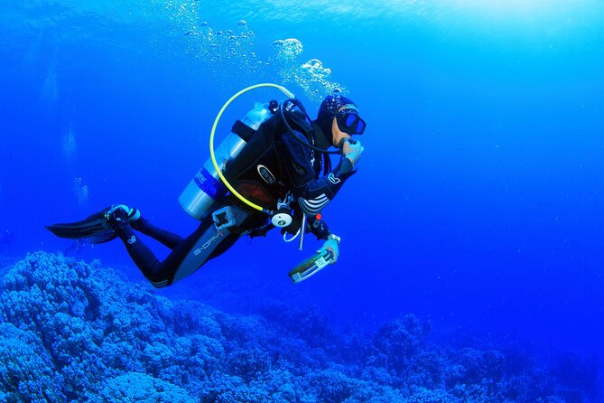 Kusadasi Scuba Diving Tour By Local Experts - When You Want One Activity, But Not Everyone Wants the Water