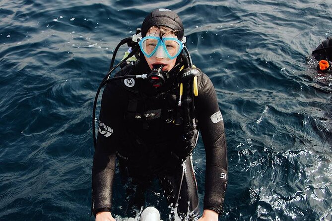 Kusadasi Scuba Diving Tour By Local Experts - Price and Value: Is $40 a Fair Deal?