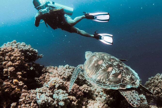 Kusadasi Scuba Diving Tour By Local Experts - Getting From Your Hotel to the Port (Without the Usual Headache)