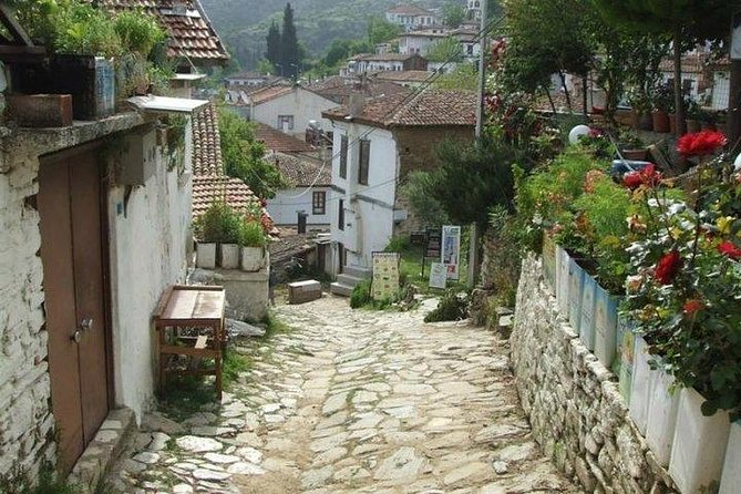 Kusadasi Shore Excursion: Private Full-Day Tour to Ephesus, Didyma and Miletus - Guides Matter More Than You Think (And They Vary)