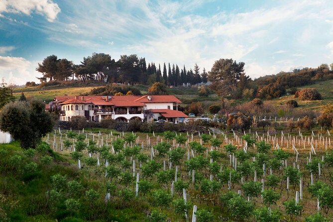 Kusadasi Shore Excursions Ephesus and Wine Tasting Tours - Şirince and fruit wine tasting near the Artemis Restaurant