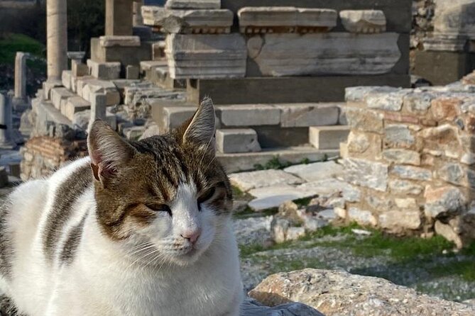 LESS Walking Tour : Private Ephesus, House of Virgin Mary, Temple - The House of Virgin Mary: Mountain-Side Pilgrimage With Real Atmosphere
