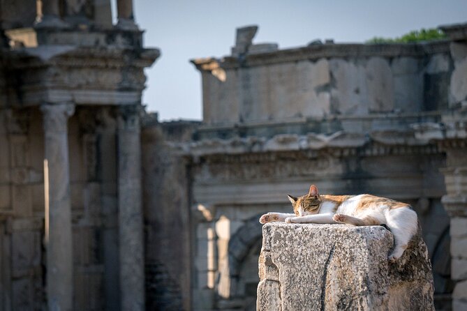 NEW: Private The Most Detailed Ephesus Shore Excursion / with Lunch - Value and total cost: what the € and the $ really add up to