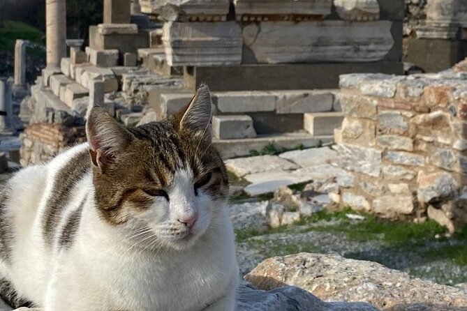 NO HIDDEN FEES : Ephesus, Virgin Mary's House, St. John Basilica - Basilica of St John: last-years setting on Ayosolug Hill