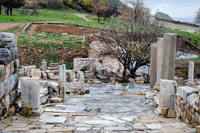 NO HIDDEN FEES : Private Ephesus, Artemission with grp. option - Gazi Begendi Park: the view you’ll remember