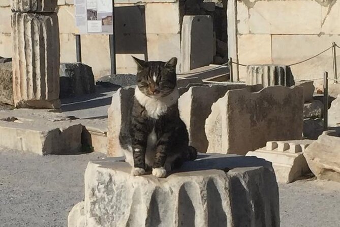 NO HIDDEN FEES Private Ephesus with skip the line tickets - Walking Ephesus Ancient City: marble streets, major monuments, and flexible pacing