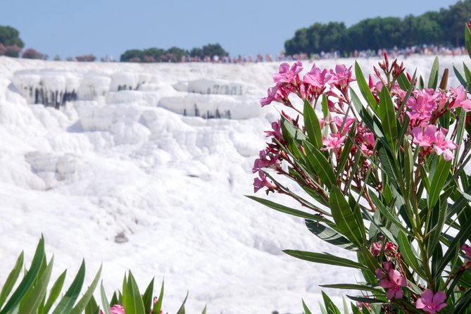 Pamukkale Day Tour from Selcuk - Selçuk to Pamukkale: the long drive, but a comfortable one
