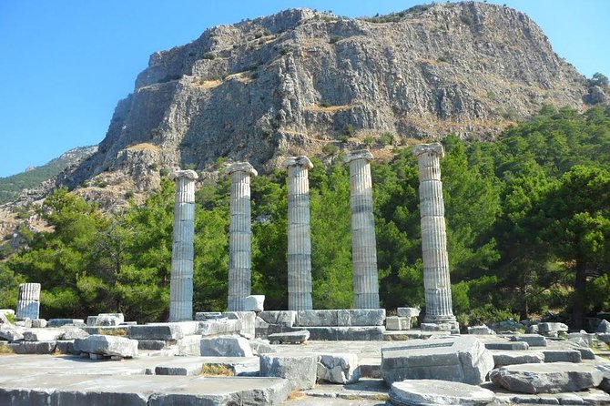 Priene, Miletus, and Didyma Day Tour from Kusadasi - Stop-by-stop: Priene’s theater, Athena hilltop, and surprisingly advanced homes