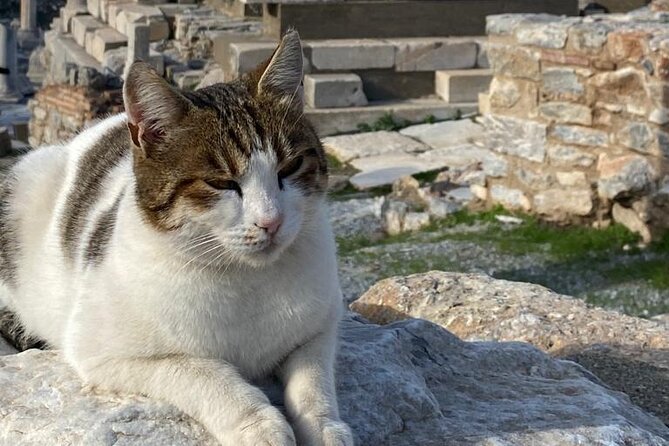 Private Ephesus and Artemis Temple Half Day Tour / On Time Return - Transportation and tickets: where the value really shows