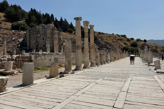 Private Ephesus Shore Tour for Cruise Guests from Kusadasi Port - What’s included, what’s not, and how to avoid surprises
