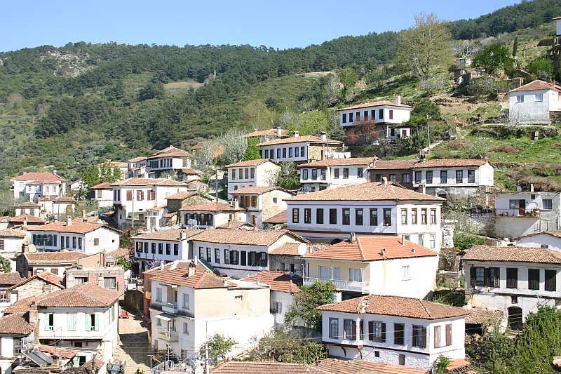 Private Ephesus, Terrace Houses & Sirince Village Tour - Ephesus guided tour: the big Roman and Greek hits in 2 hours