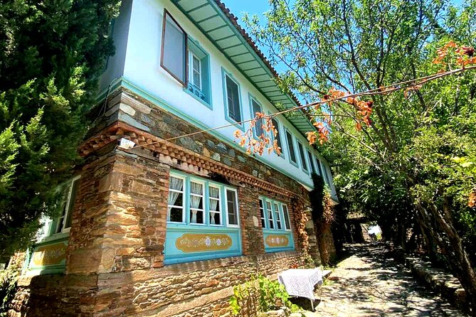 Private Ephesus Tour & Cooking Class in Village - Price and value: what you’re paying for at $189