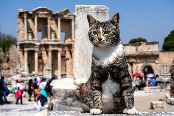 Private Ephesus Tour from Kusadasi - Meryemana (Mary’s House): a religious site with a very human scale