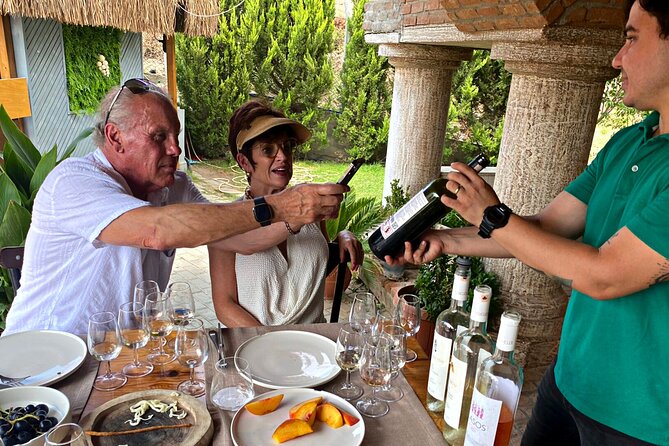 Private Ephesus Tour & Wine Tasting & Mediterrranean Lunch - Comfort and Cruise-Day Logistics: The Private-Van Advantage