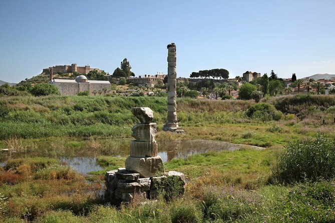 Private Tour: Best of Ephesus for Cruise Passengers. - Private tour value: what $251.66 per person really buys