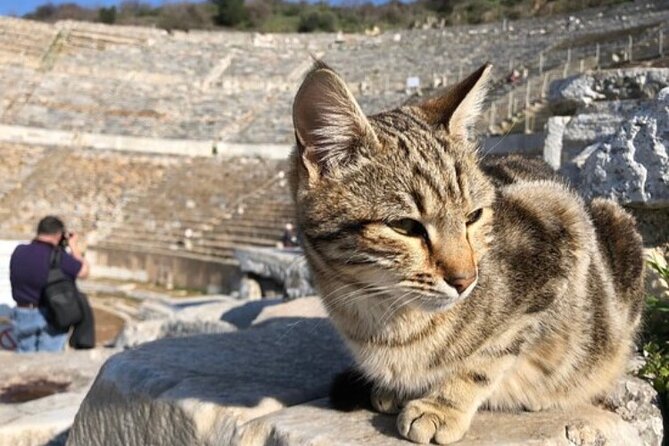 Private Tour : Biblical Ephesus Tour for Cruisers from Kusadasi ( Ephesus ) Port - Value for $39: when this private tour is a smart buy