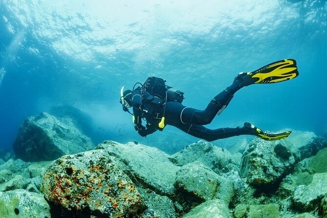 Scuba Diving Tour From Kusadasi / Selcuk - The day flow: from hotel to boat to your first breath underwater