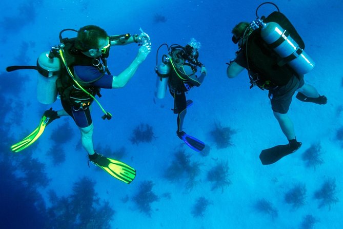 Scuba Diving Tour From Kusadasi / Selcuk - The instructors and safety basics you’ll depend on