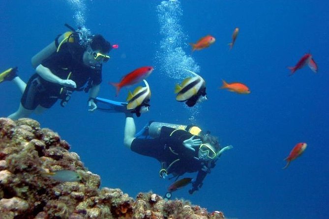 Scuba Diving Tour From Kusadasi / Selcuk - Lunch, insurance, and the small stuff that keeps costs under control