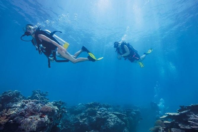 Scuba Diving Tour From Kusadasi / Selcuk - Group size of up to 30: why that matters
