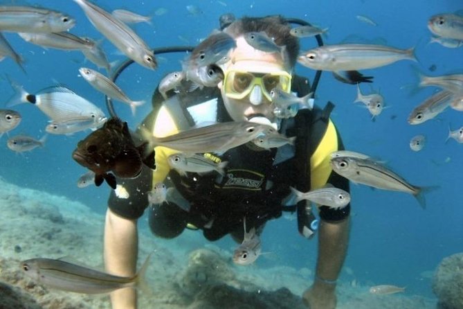 Scuba Diving Tour From Kusadasi / Selcuk - Transfer fees in the Selçuk area: don’t let it surprise you