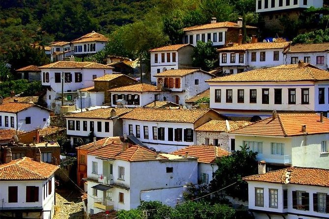 Sirince Village Tour From Kusadasi Port / Hotels - Who This Sirince and Selcuk Day Trip Is Best For