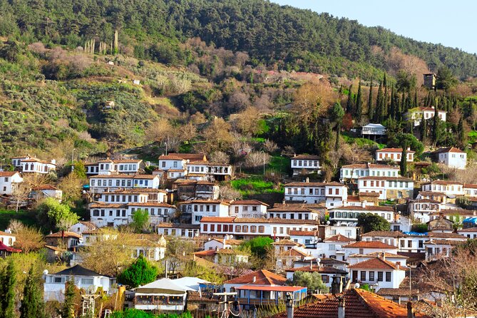 Small Group Ephesus & Sirince Village Tour From Kusadasi / Selcuk Hotels - Price and Value: What $50 Really Gets You